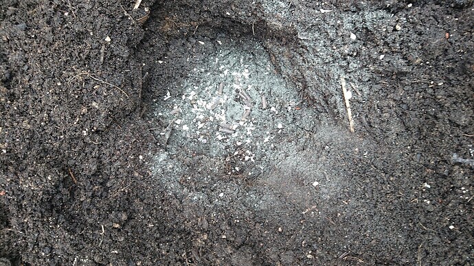 Growreport Bild 4