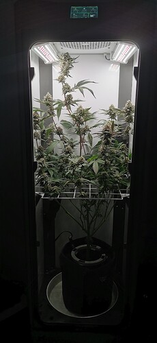 Growreport Bild 1