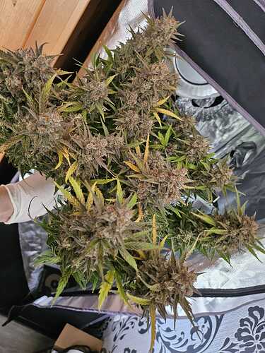 WhatsApp Bild 2024-04-29 um 13.28.04_77ab581d