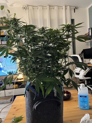 Growreport Bild 2