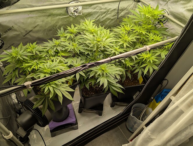 Growreport Bild 5