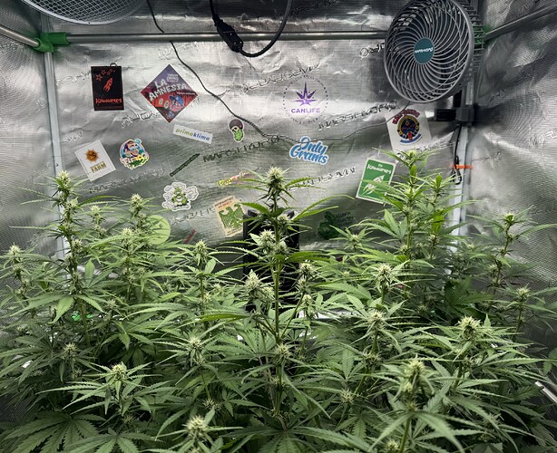 Growreport Bild 11