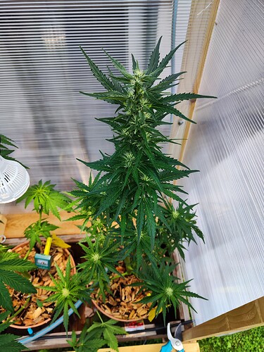 Growreport Bild 20