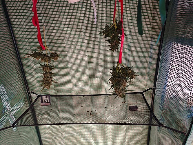 Growreport Bild 26
