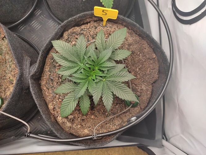 Growreport Bild 13