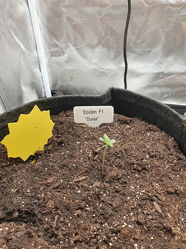 Growreport Bild 7