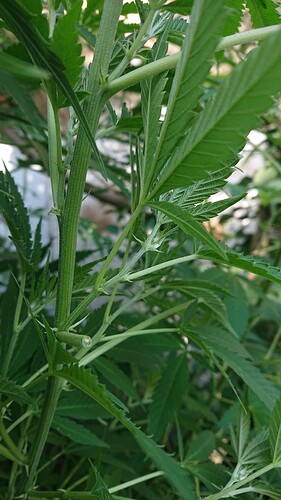 Growreport Bild 2