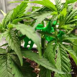 14.02. training links