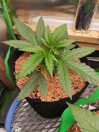 Growreport Bild 17
