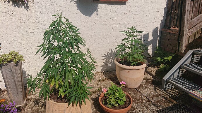 Growreport Bild 80