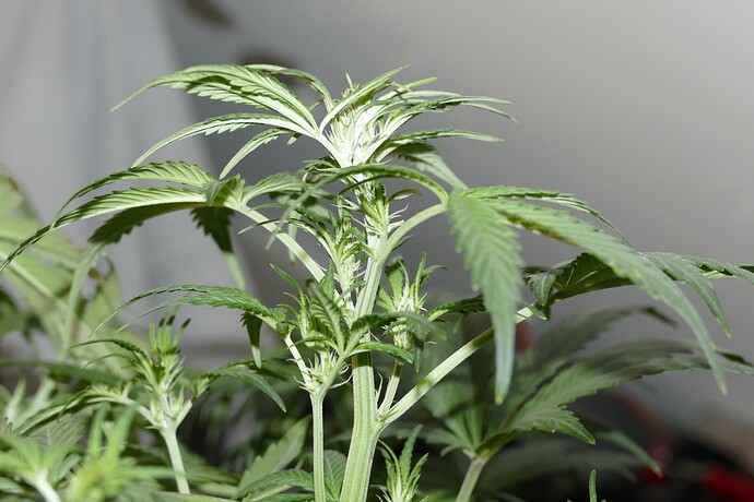 Growreport Bild 17