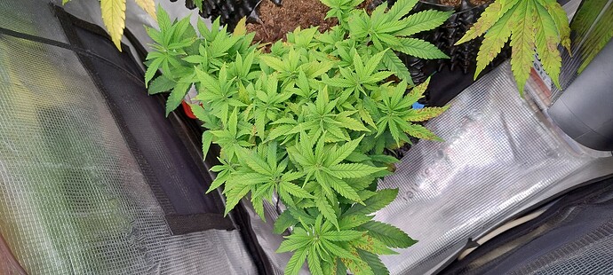 IMG_20251024_092618475_HDR