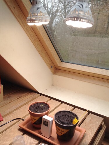 Growreport Bild 46
