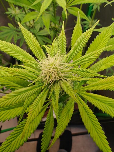 Growreport Bild 6