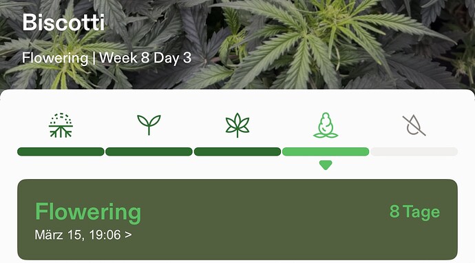 Growreport Bild 16