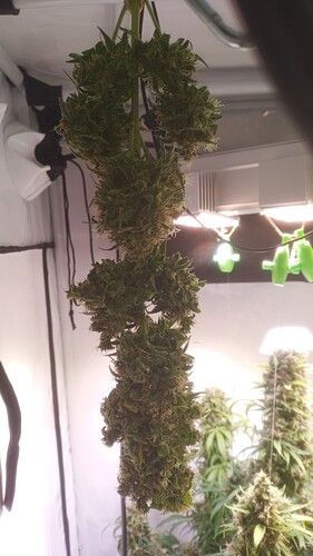 Growreport Bild 12