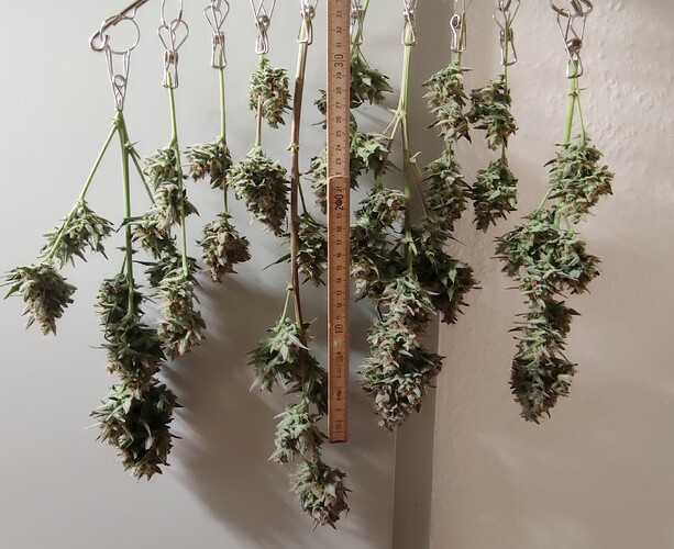 Growreport Bild 22