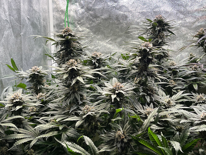 Growreport Bild 10
