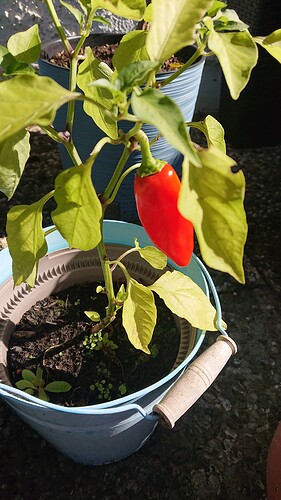 Growreport Bild 20