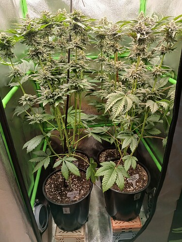 Growreport Bild 21