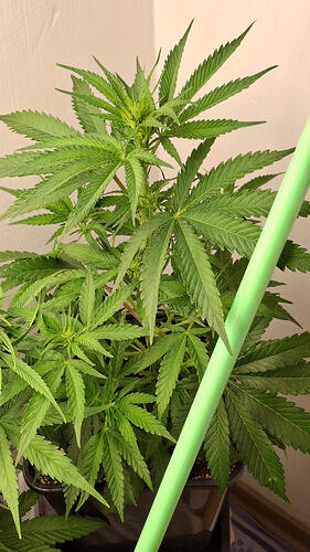 Growreport Bild 280
