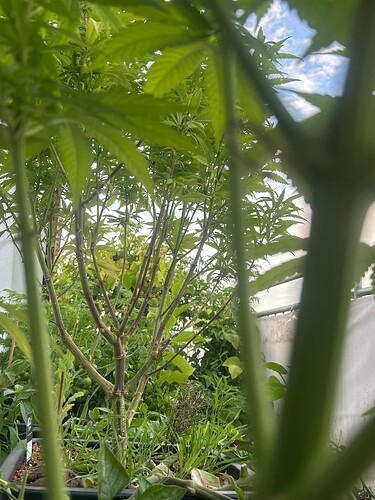 Growreport Bild 18