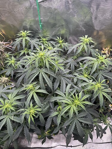 Growreport Bild 8