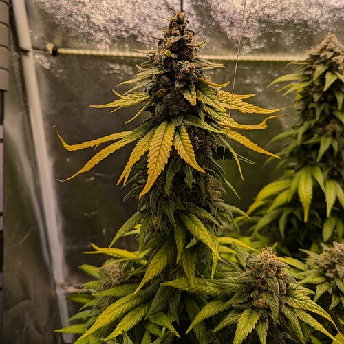 Growreport Bild 10