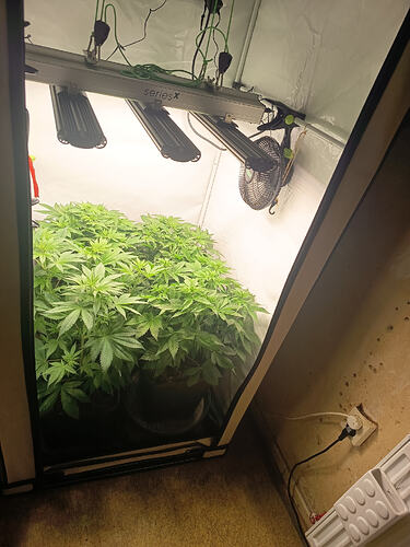 Growreport Bild 13