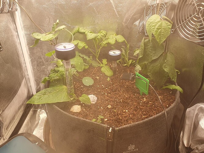 Tag 4 -2025-08-26-231552_006