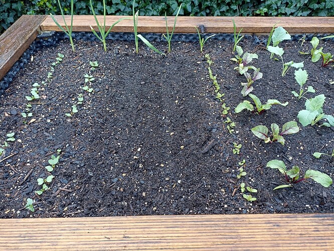 WhatsApp Bild 2025-04-14 um 08.50.16_3b72da87