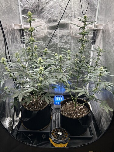 Growreport Bild 8
