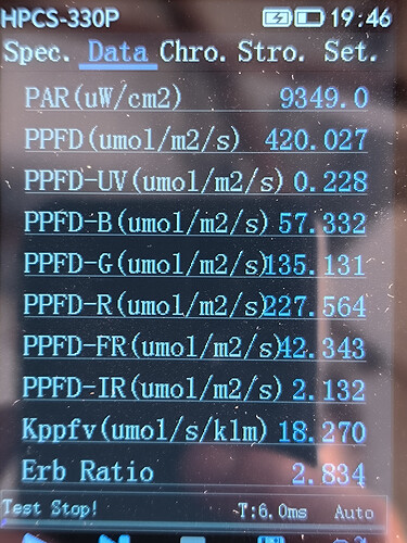 1000041239