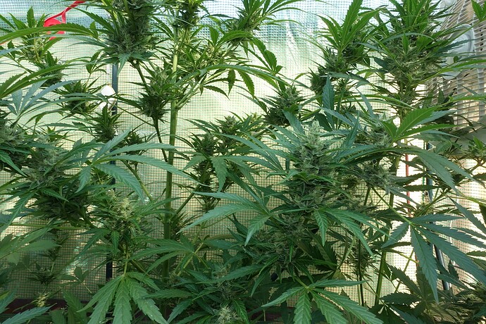 Growreport Bild 10