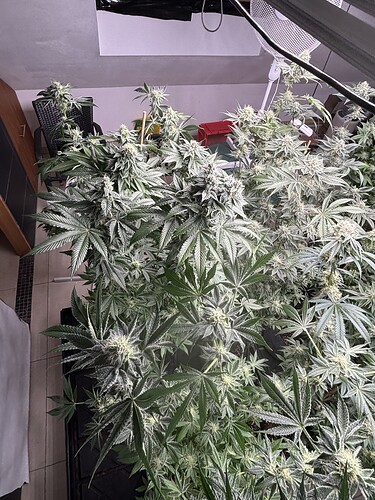 Growreport Bild 50