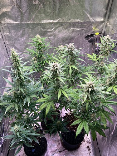 Growreport Bild 18