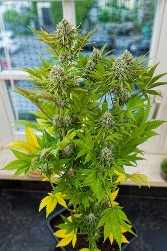 Growreport Bild 18