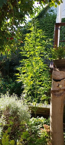 Growreport Bild 12