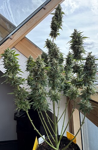 Growreport Bild 16