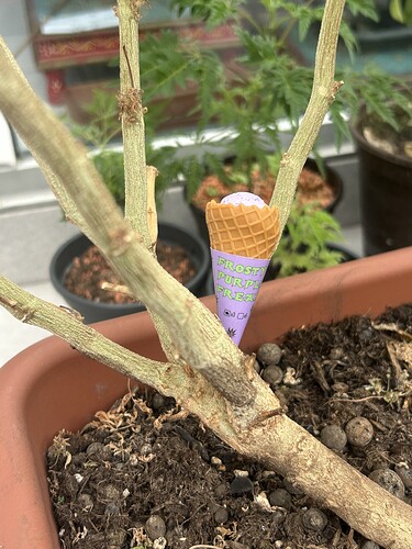 Growreport Bild 24