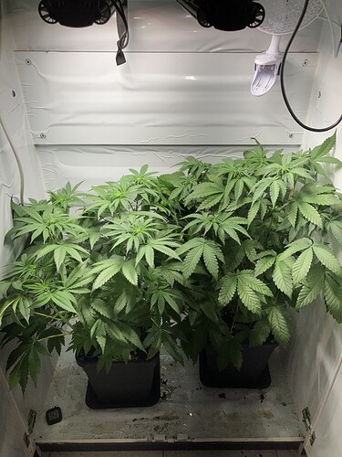 Growreport Bild 1