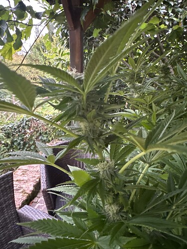 Growreport Bild 76