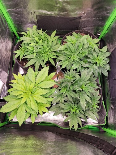 Growreport Bild 9