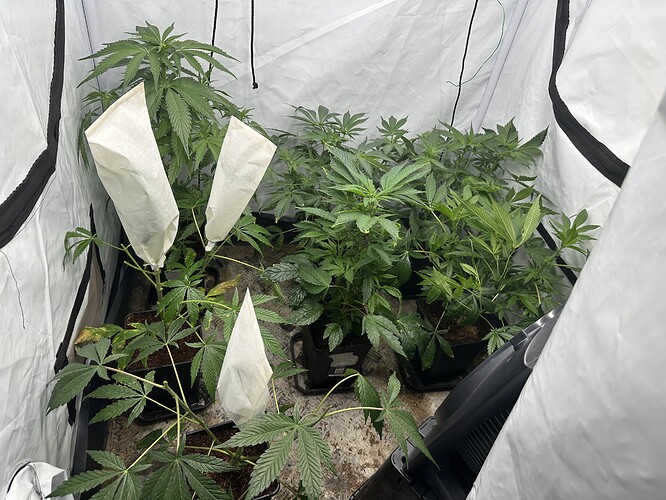 Growreport Bild 9