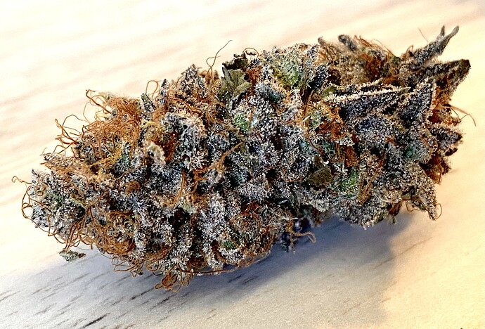 Growreport Bild 1