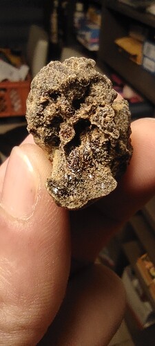 Growreport Bild 12