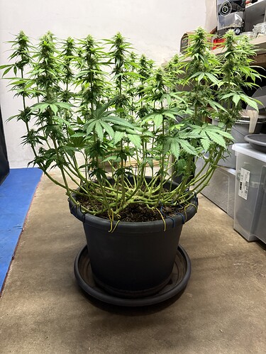 Growreport Bild 24
