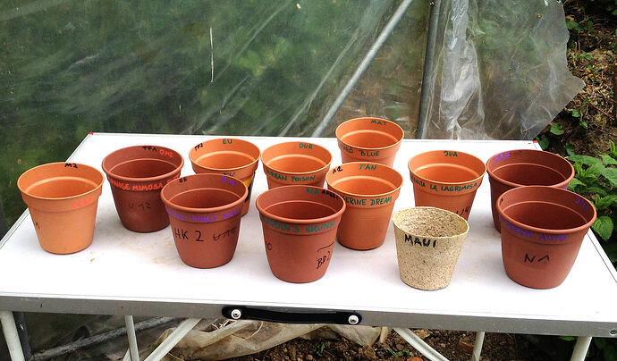 Grow26_0509_5