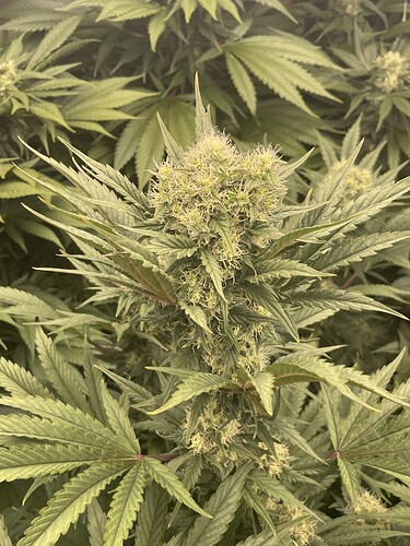 Growreport Bild 11