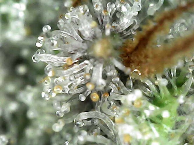 Growreport Bild 20